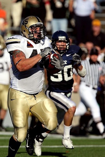 鲜明对比 鲜明对比