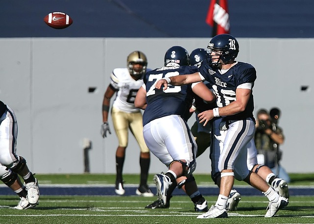 球的目光 球的目光