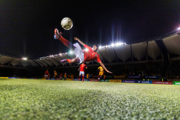 注生态与城 注生态与城