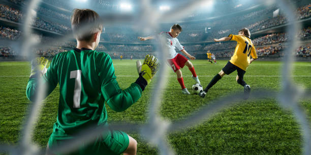 制定计划 制定计划